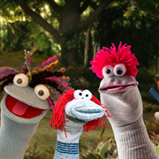 Sock Puppets in a forest