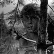 Black and white photo of a boy’s face partially obscured by pine branches and a large spider web in a forest setting.