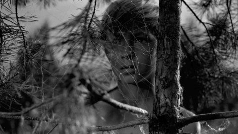 Black and white photo of a boy’s face partially obscured by pine branches and a large spider web in a forest setting.