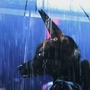Digital artwork of a coyote with earrings sitting in the rain, looking out a rain-covered window against a blue and purple neon-lit background.