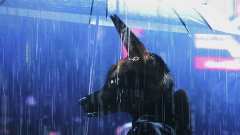 Digital artwork of a coyote with earrings sitting in the rain, looking out a rain-covered window against a blue and purple neon-lit background.