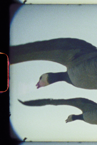 Preview: Super Nature + director Q&A
