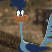 Road Runner looks expectantly at the camera.
