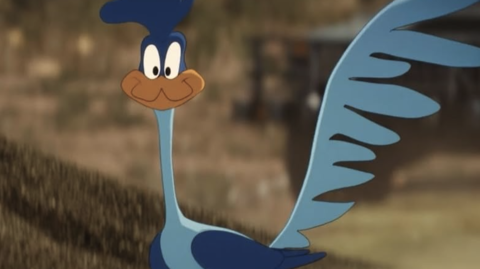 Road Runner looks expectantly at the camera.