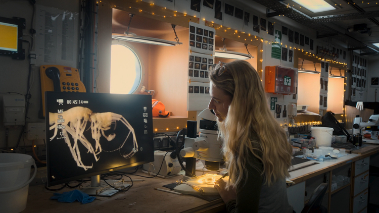 A woman looking at a computer screen
