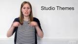 BSL Guide: Pervasive Media Studio Vocabulary – Themes