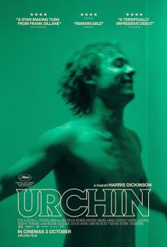 Urchin