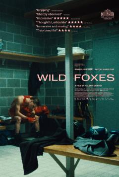 Wild Foxes