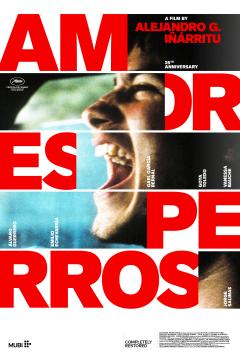 Amores Perros