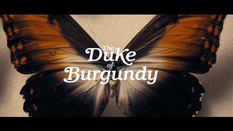 Trailer for The Duke of Burgundy
