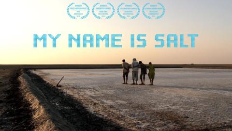Trailer for My Name is Salt
