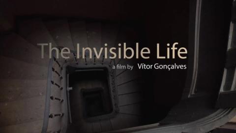 Trailer for The Invisible Life