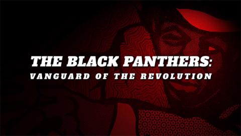 Trailer for The Black Panthers: Vanguard of the Revolution