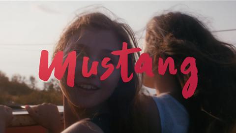 Trailer for Mustang