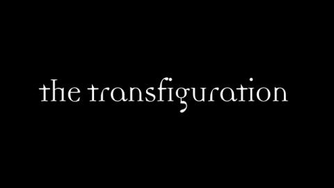 Trailer for The Transfiguration