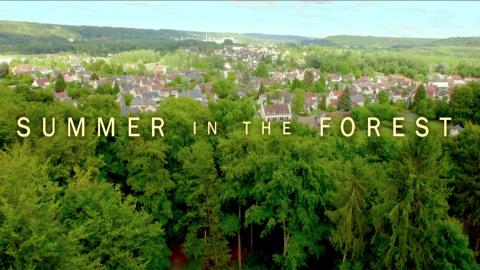 Trailer for Summer In the Forest