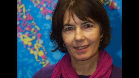 Filmmaker Focus: Kim Longinotto