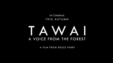 Trailer for Tawai: A Voice from the Forest