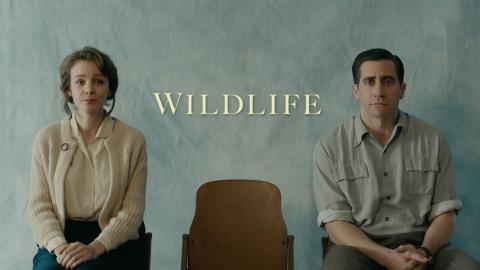 Trailer for Wildlife