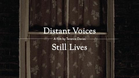 Trailer for Distant Voices, Still Lives