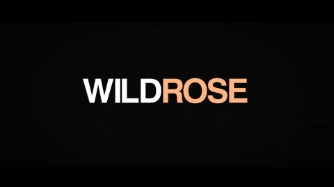 Trailer for Wild Rose