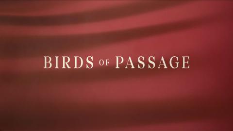 Trailer for Birds of Passage