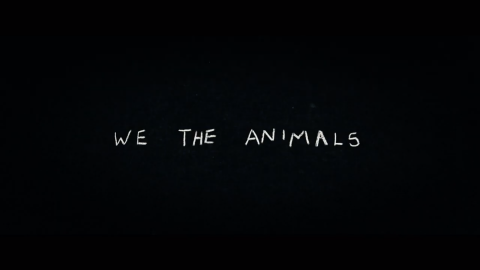 We the Animals - info and ticket booking, Bristol | Watershed