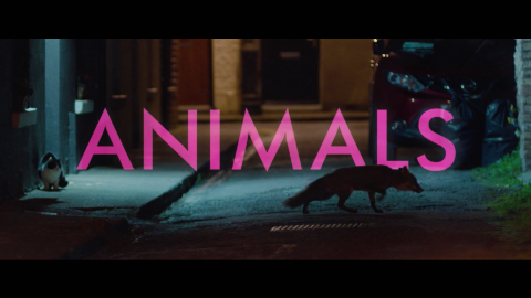 Trailer for Animals