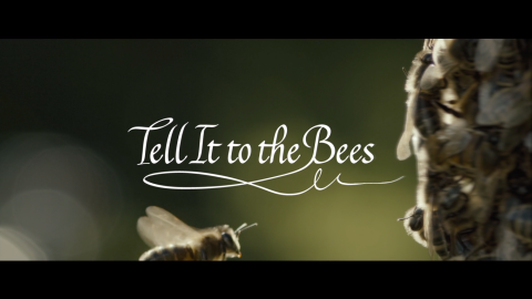 Trailer for Tell it to the Bees