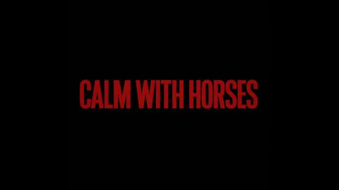 Trailer for Calm With Horses Curzon Living Room Q&A