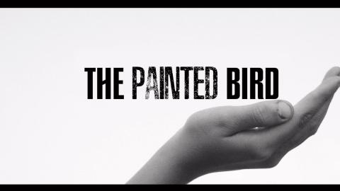 Trailer for The Painted Bird