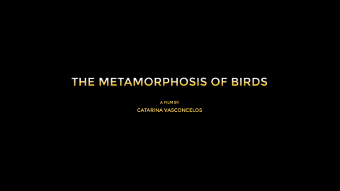 Trailer for The Metamorphosis of Birds