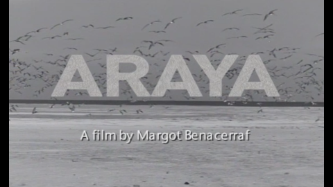 Trailer for Araya