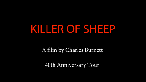 Trailer for Killer of Sheep + Short: The Horse