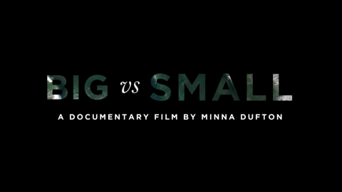 Trailer for Big vs Small