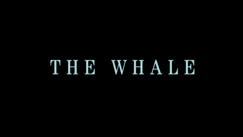 Trailer for The Whale
