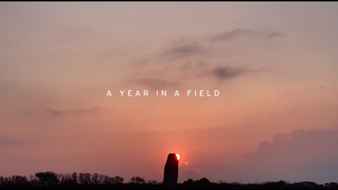 Trailer for Preview: A Year in a Field