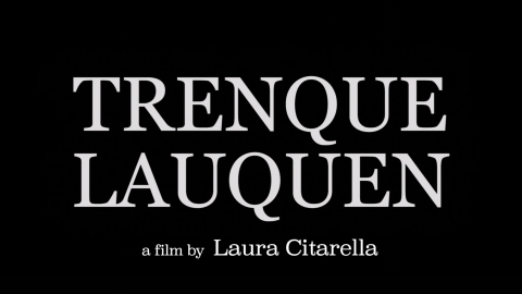 Trailer for Trenque Lauquen: Part I