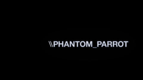 Trailer for Phantom Parrot