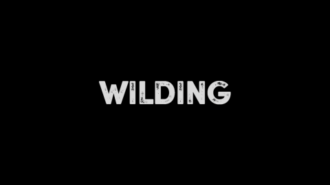 Trailer for Preview: Wilding