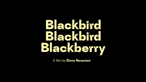Trailer for Blackbird Blackbird Blackberry