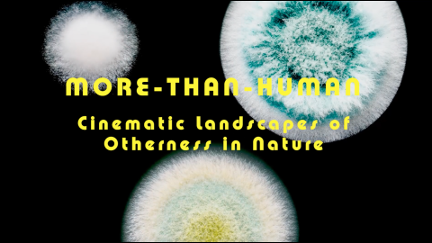 Trailer for More-Than-Human: Cinematic Landscapes of Otherness in Nature