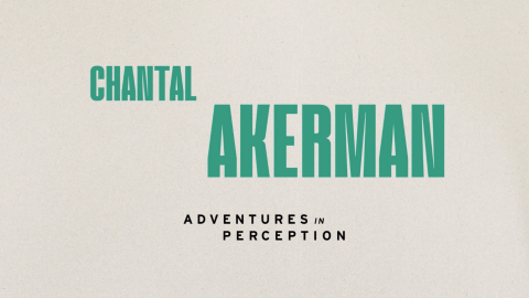 Trailer for Chantal Akerman: Adventures in Perception