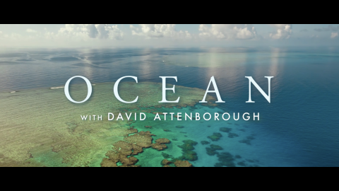 Trailer for Ocean with David Attenborough