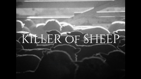Trailer for UK Premiere: Killer of Sheep