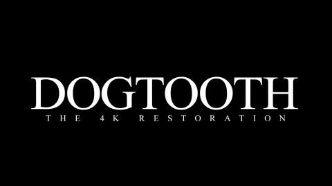 Trailer for Dogtooth