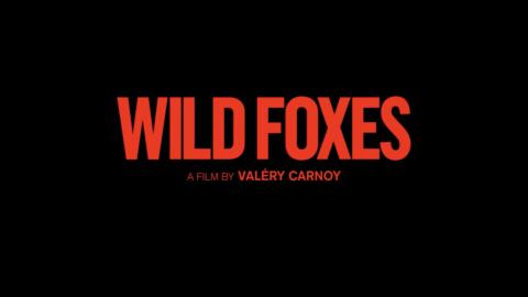 Trailer for Wild Foxes