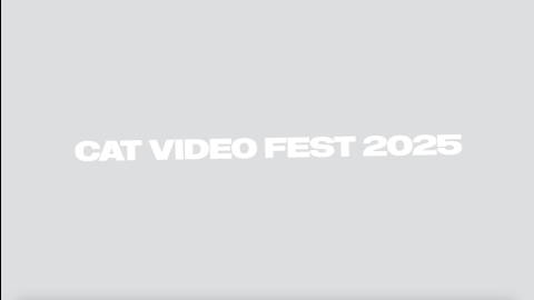 Trailer for CatVideoFest 2025