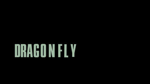 Trailer for Dragonfly + Q&A