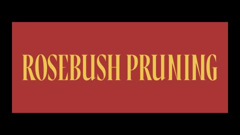 Trailer for Rosebush Pruning
